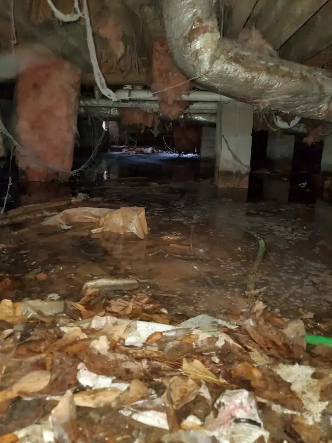 Crawl space flood assessment for Commercial Water Damage Restoration in Elmwood Park