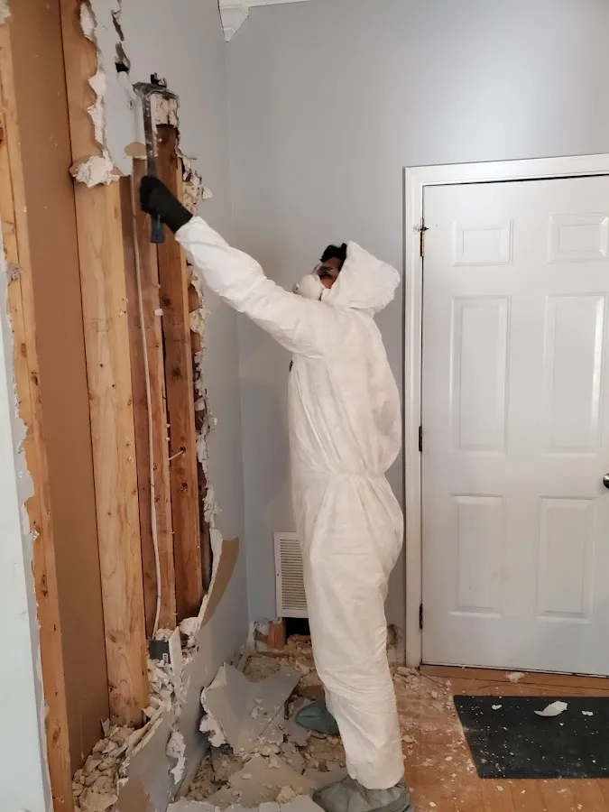 Water Damage Restoration services in Elmwood Park, NJ